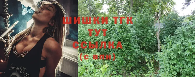 Каннабис план  купить закладку  Вяземский 